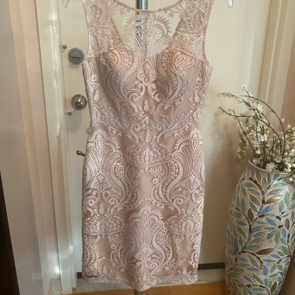 Blush Pink Lace Harper Jenny Yoo BHLDN Feminine Bridesmaid Sheath Dress! Sz 0/XS